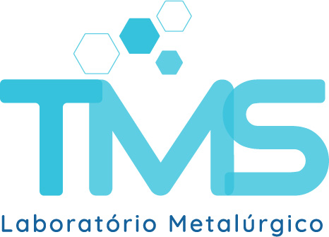 Logotipo - TM Service