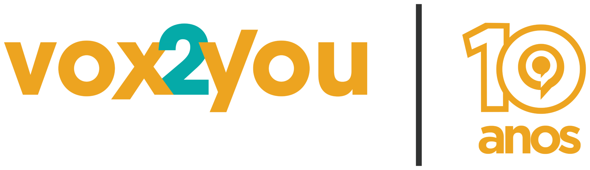 LOGO VOX2YOU
